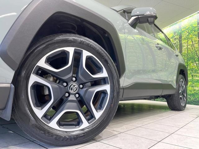 25466451_carP_l_7.jpg
