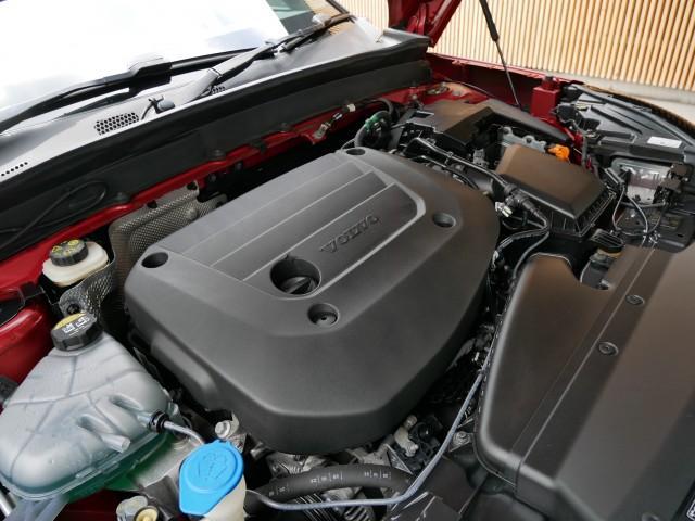 24913527_carP_l_7.jpg