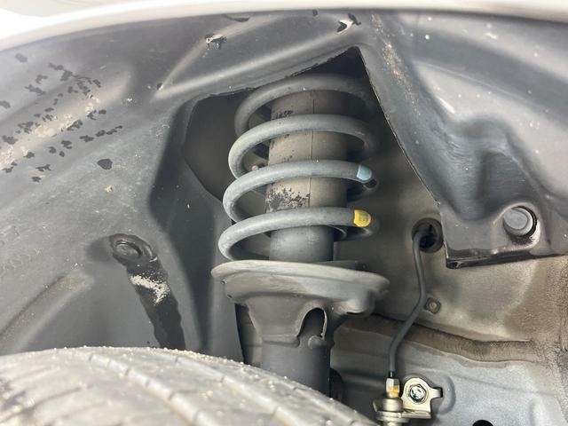 26002498_carP_l_20.jpg