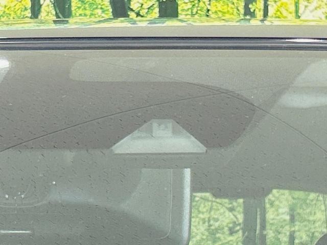 26469000_carP_l_10.jpg