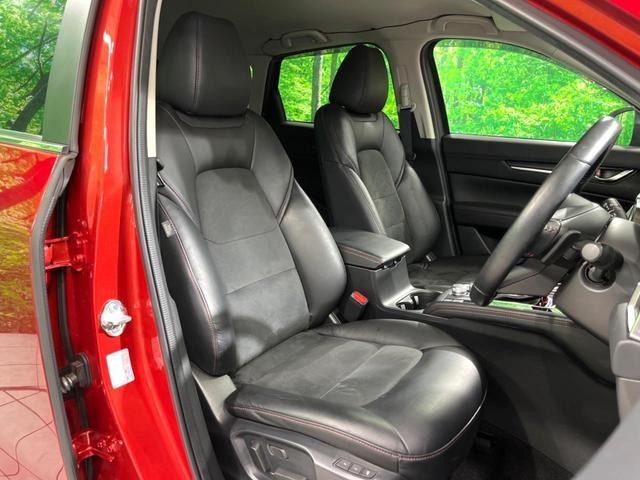 24953287_carP_l_2.jpg