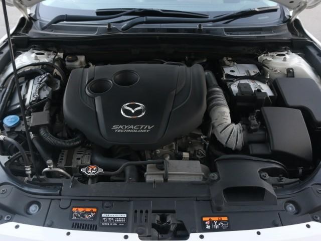 25330031_carP_l_17.jpg