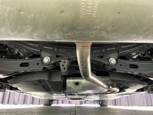 26002509_carP_l_18.jpg