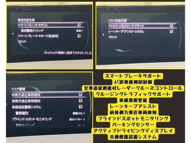 26789376_carP_l_17.jpg
