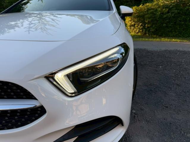 24320838_carP_l_4.jpg