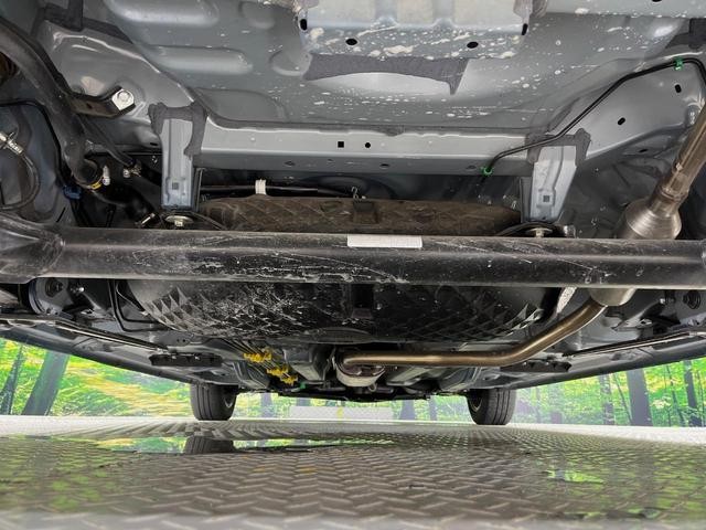 26002489_carP_l_18.jpg