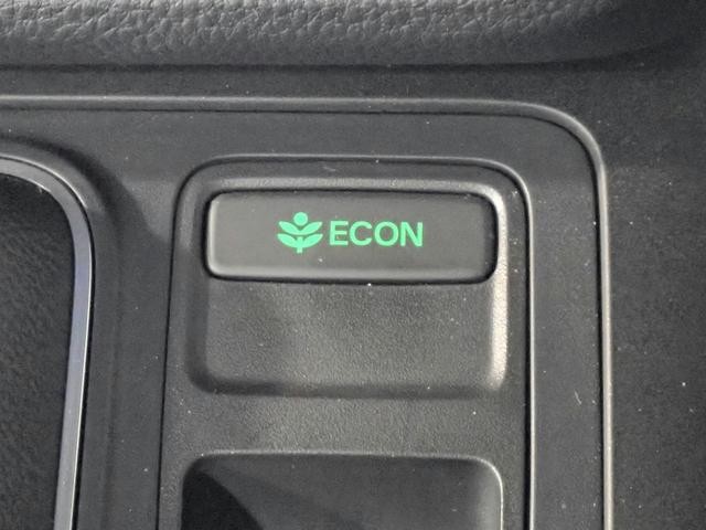 0201999A30261018W00211.jpg