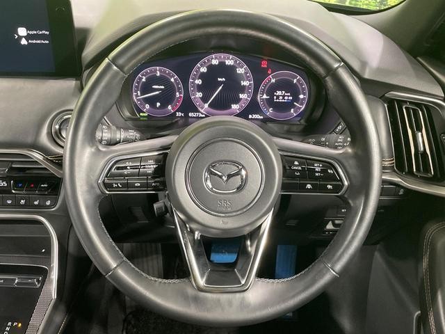 26064289_carP_l_5.jpg