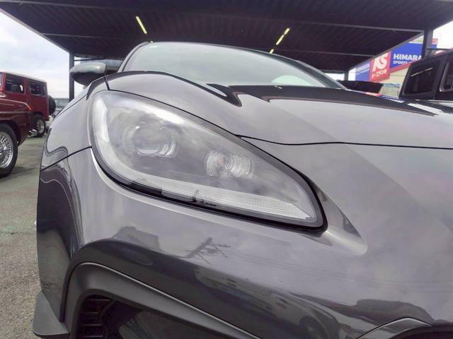 24300807_carP_l_20.jpg