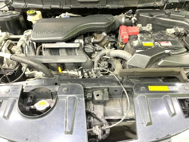 26168873_carP_l_16.jpg