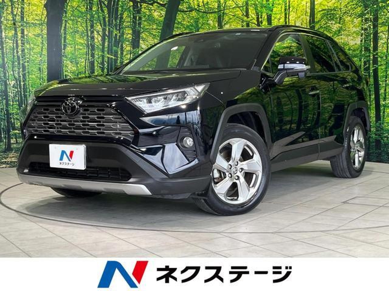 2019 Toyota Rav4, photo 1 of 1