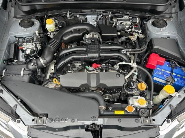 24994381_carP_l_16.jpg