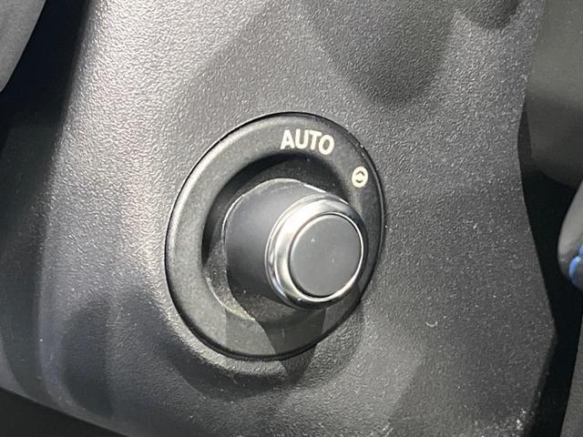 24521611_carP_l_19.jpg
