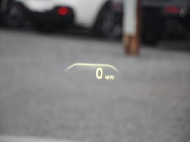 26069033_carP_l_10.jpg