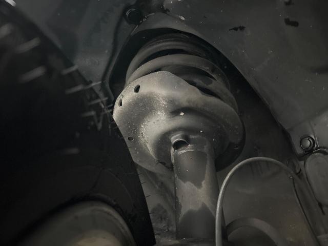 24994382_carP_l_20.jpg