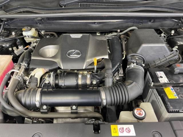 26002566_carP_l_18.jpg