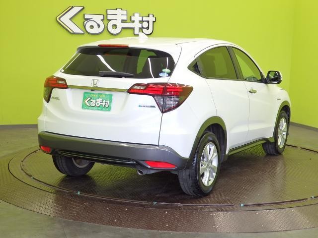 25748861_carP_l_16.jpg