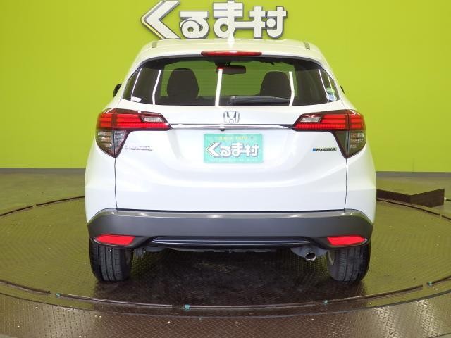 25748861_carP_l_18.jpg