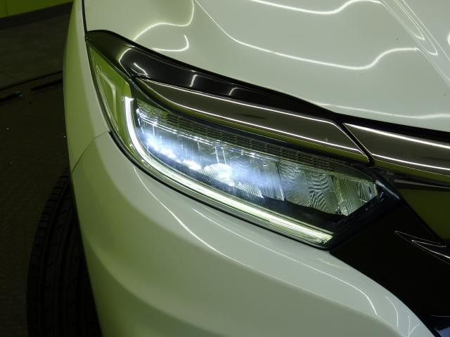 25748861_carP_l_7.jpg