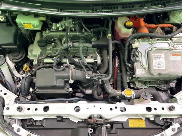 24155442_carP_l_12.jpg