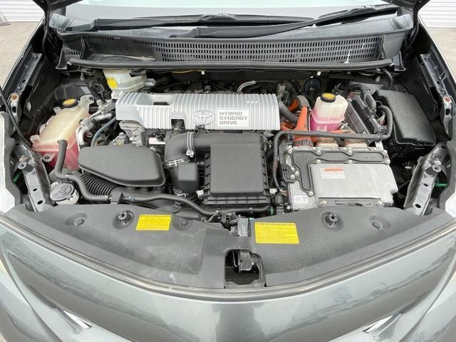 24953651_carP_l_16.jpg
