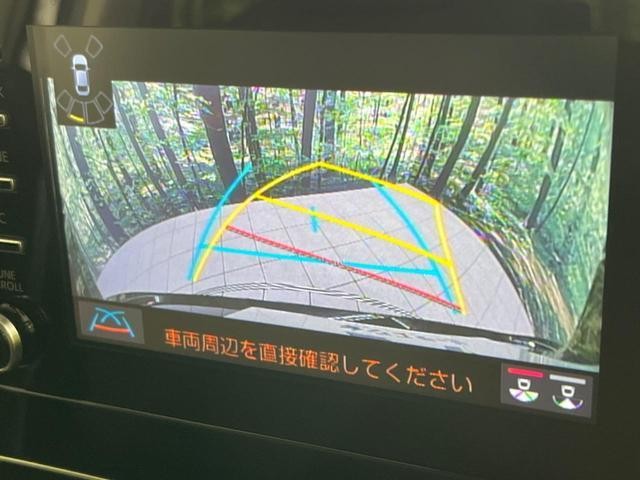 26002572_carP_l_10.jpg