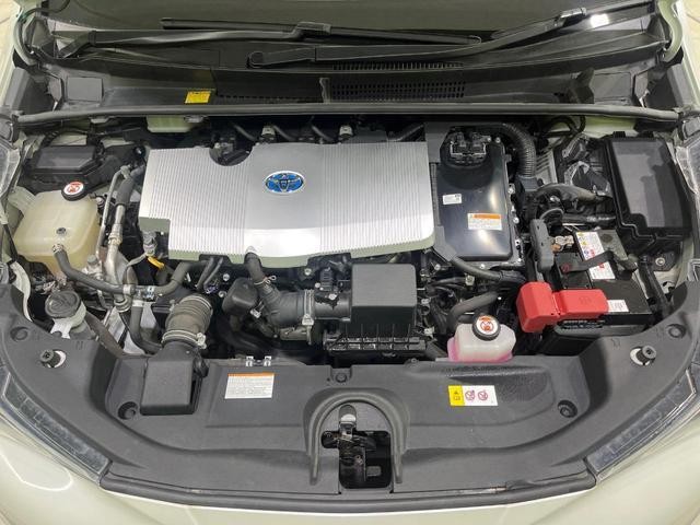 26293259_carP_l_16.jpg