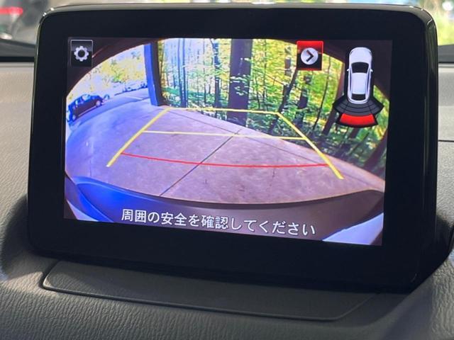 23965748_carP_l_10.jpg