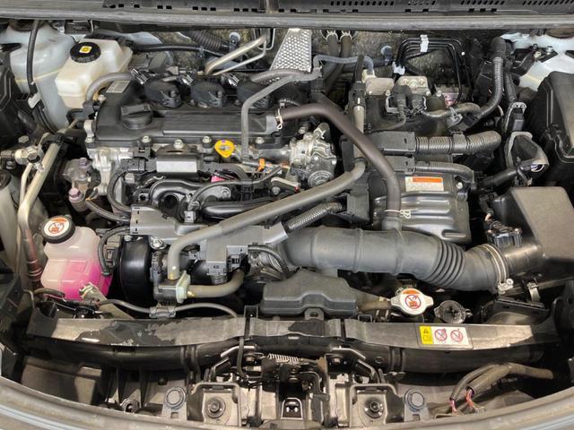 24521459_carP_l_16.jpg