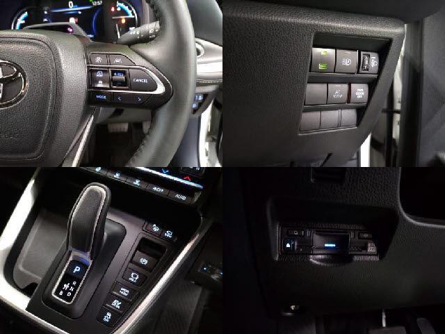 23594438_carP_l_10.jpg