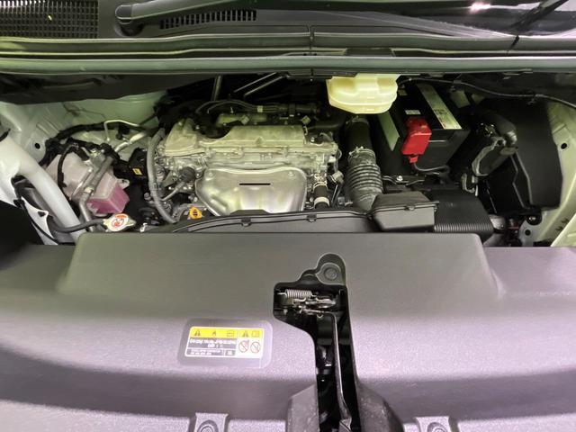 24155519_carP_l_16.jpg