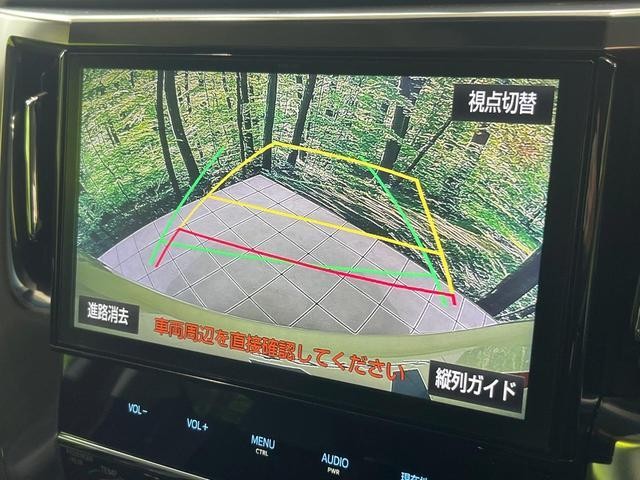 24953364_carP_l_13.jpg