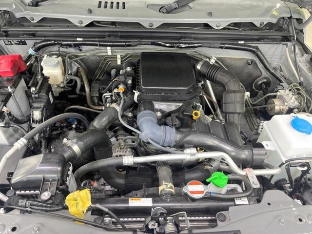 25466144_carP_l_16.jpg