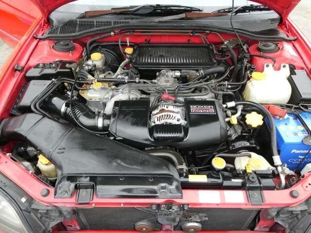 24128699_carP_l_7.jpg
