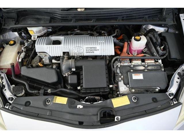 25870842_carP_l_8.jpg