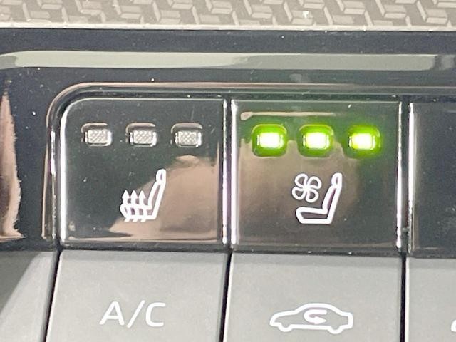 23987348_carP_l_19.jpg
