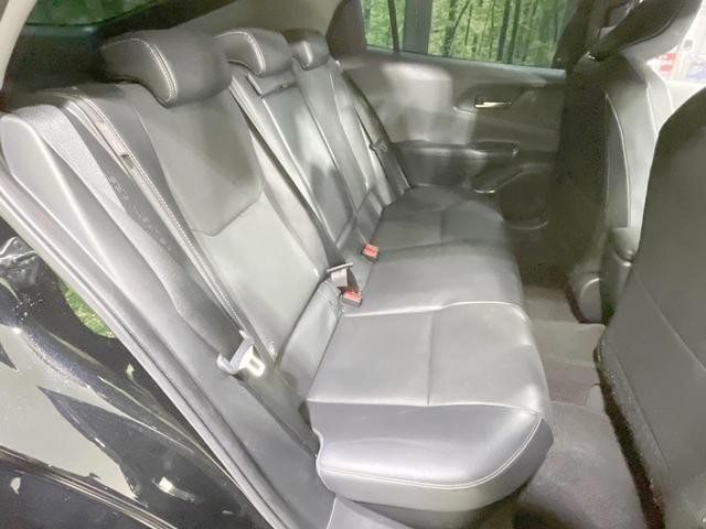 23987348_carP_l_6.jpg