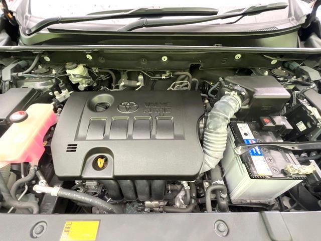 24218712_carP_l_16.jpg