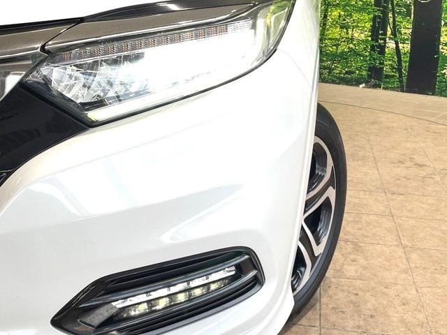 26168954_carP_l_6.jpg