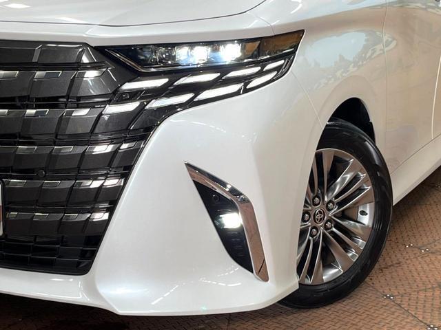 24299759_carP_l_7.jpg