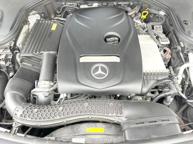 25404597_carP_l_18.jpg