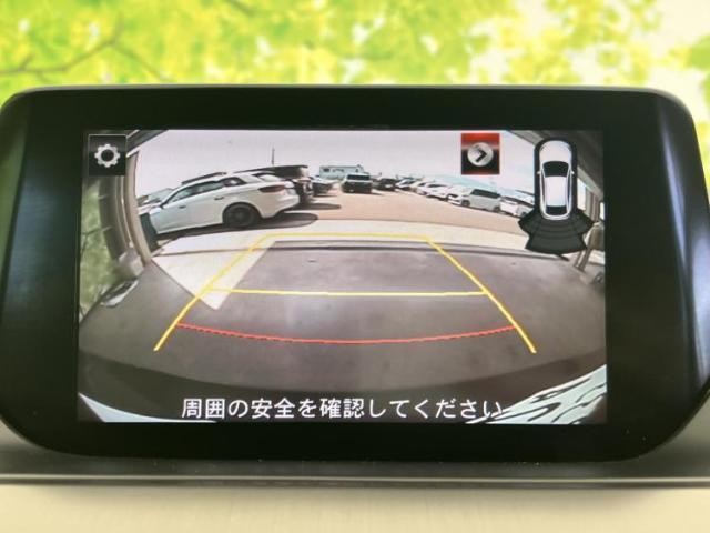 24035517_carP_l_6.jpg