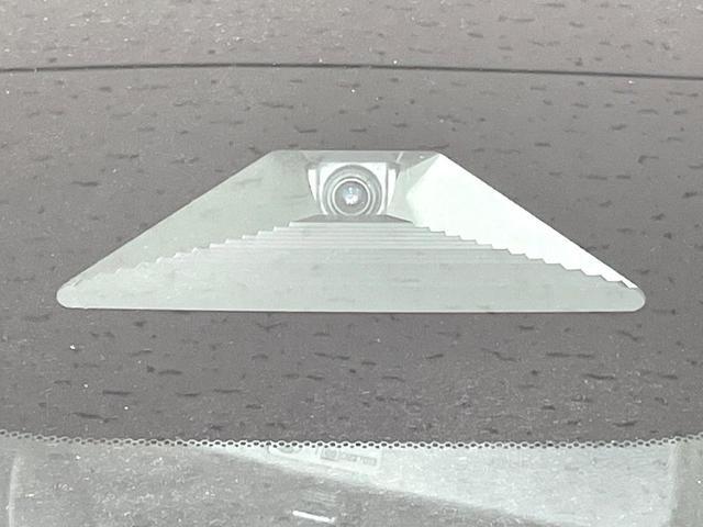 24155747_carP_l_13.jpg