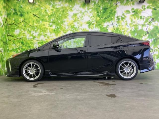 25184891_carP_l_3.jpg