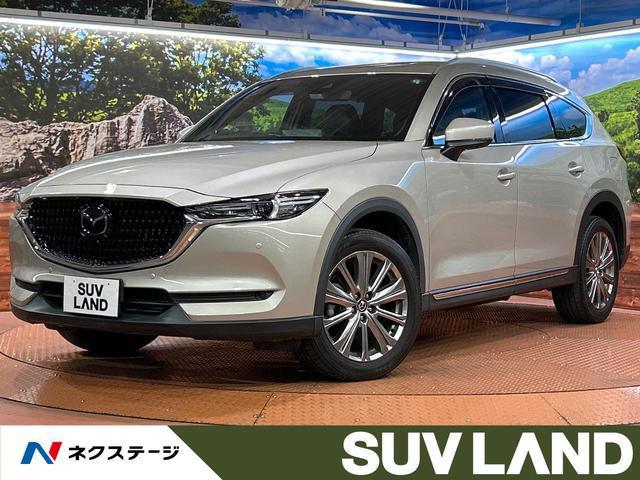 0403435A30260817W03201.jpg