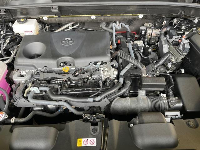24994429_carP_l_16.jpg