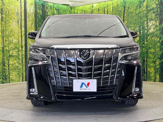 23595165_carP_l_9.jpg
