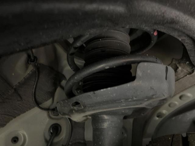 26230732_carP_l_20.jpg