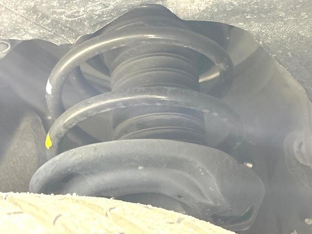 25673793_carP_l_20.jpg