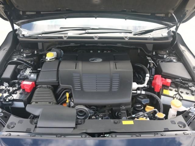 26215578_carP_l_17.jpg